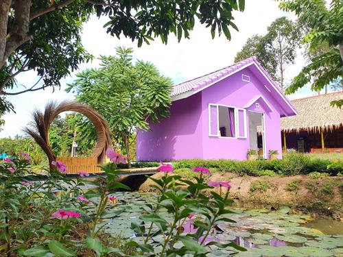 Phan Thiết – Tiền Giang – Cần Thơ – Vĩnh Long 3N2Đ (DPT73)